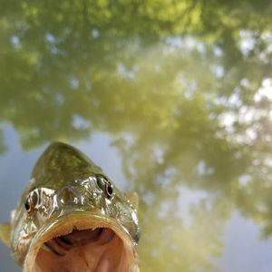 Meet your Posher, Timothy